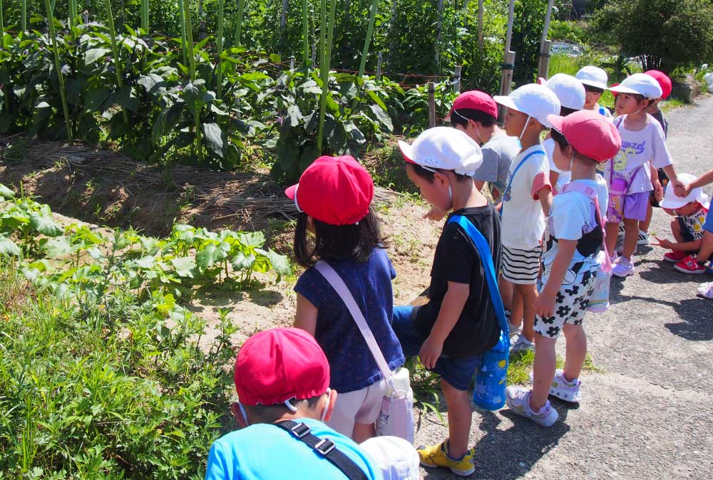 食育活動の様子